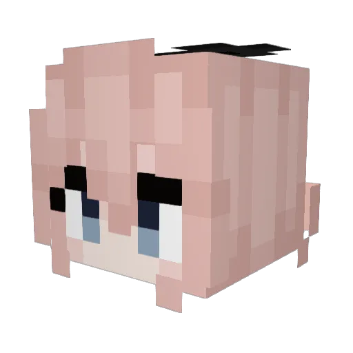 RANDOM8049 Minecraft avatar head, 3D render