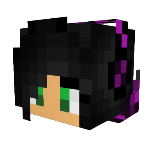 RANDOMNOSCITY12 Minecraft avatar head, 3D render