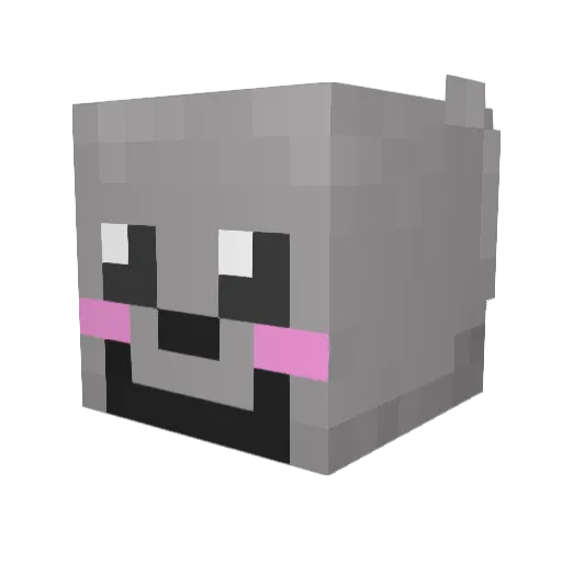 RANDOMO13 Minecraft avatar head, 3D render