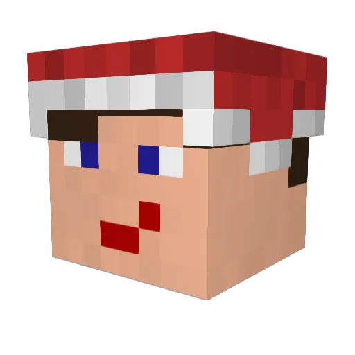 RANKKY_YT Minecraft avatar head, 3D render