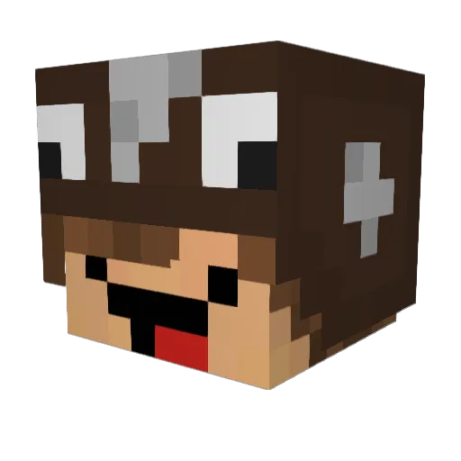 RAOM_05 Minecraft avatar head, 3D render