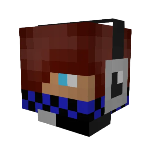 RAPIDNINJA23 Minecraft avatar head, 3D render