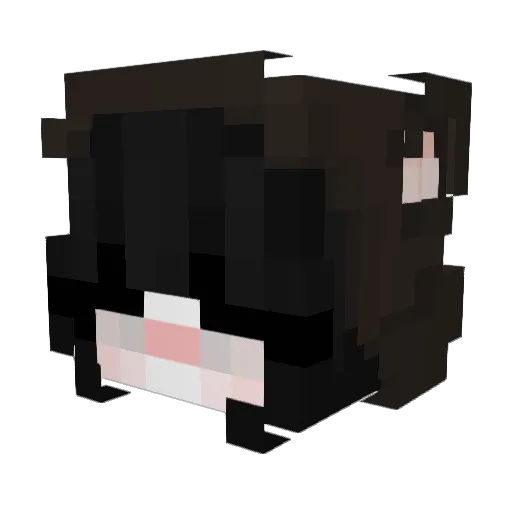 RAPTER760 Minecraft avatar head, 3D render