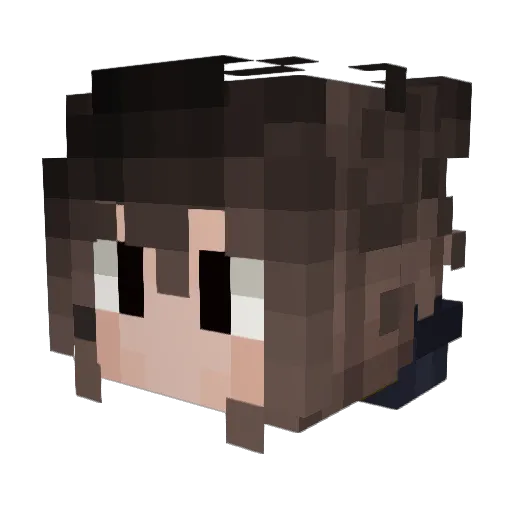 RAR30_ Minecraft avatar head, 3D render