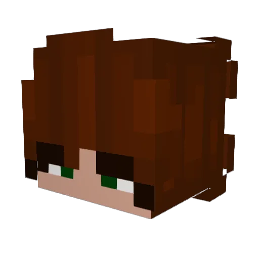 RATEthan Minecraft avatar head, 3D render