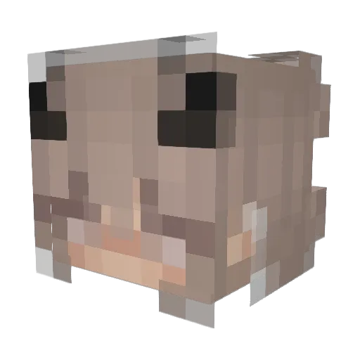 RATOM332 Minecraft avatar head, 3D render