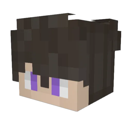 RAV3N_panpan Minecraft avatar head, 3D render
