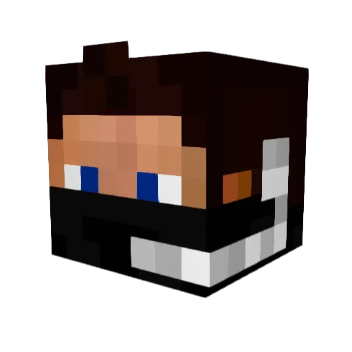 RAVEN7367 Minecraft avatar head, 3D render