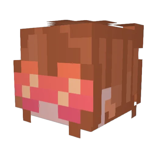 RAVENWRATH Minecraft avatar head, 3D render