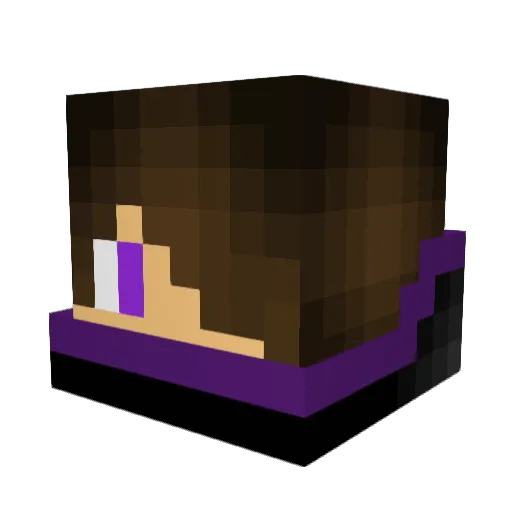 RAVEN_TTV Minecraft avatar head, 3D render