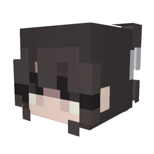 RAW2nd1 Minecraft avatar head, 3D render