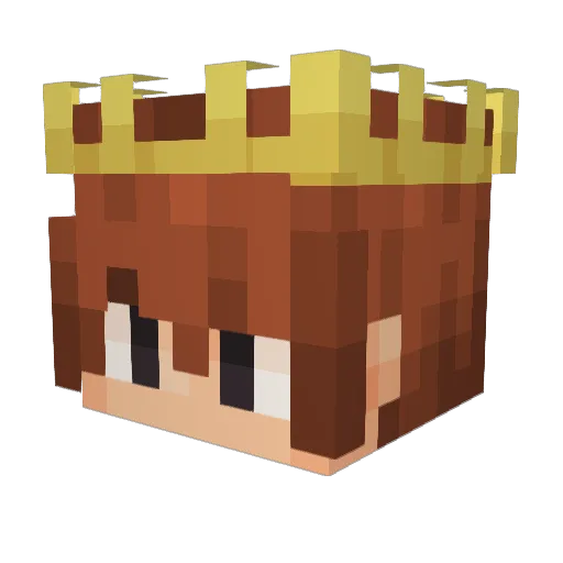 RAYAN999 Minecraft avatar head, 3D render