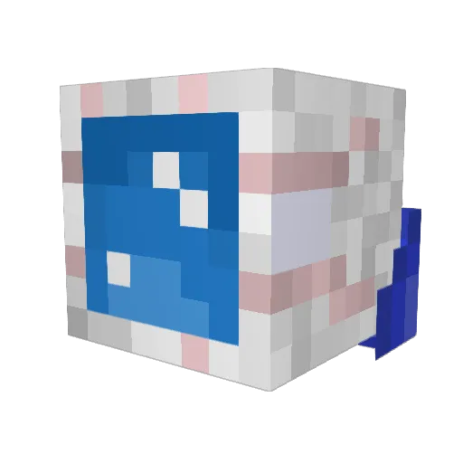 RAYYANBASHEER Minecraft avatar head, 3D render