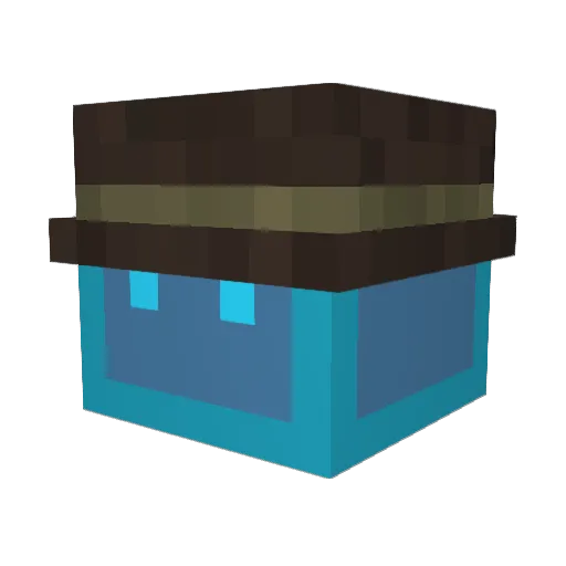 RAY_TW_NOOB Minecraft avatar head, 3D render