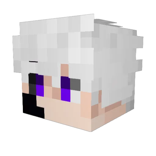 RB7N Minecraft avatar head, 3D render