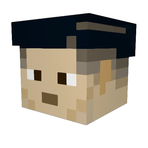 RBG889 Minecraft avatar head, 3D render