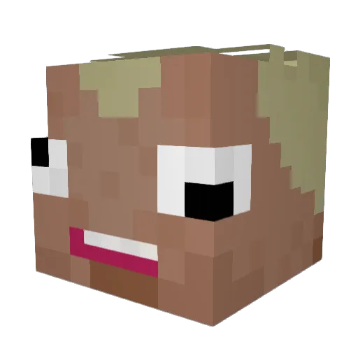 RBY772 Minecraft avatar head, 3D render