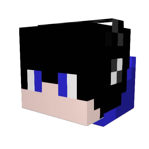 RBZ1W Minecraft avatar head, 3D render
