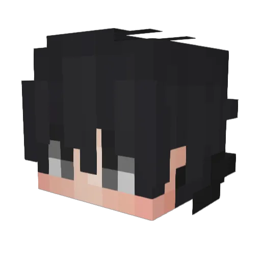 RB_Tyler Minecraft avatar head, 3D render