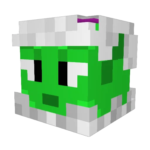 RBlack14 Minecraft avatar head, 3D render