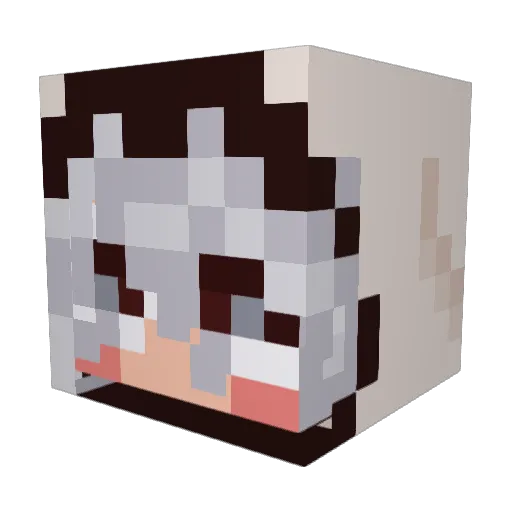 RBooch6 Minecraft avatar head, 3D render