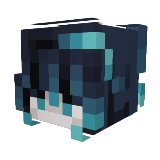 RC5_niy Minecraft avatar head, 3D render
