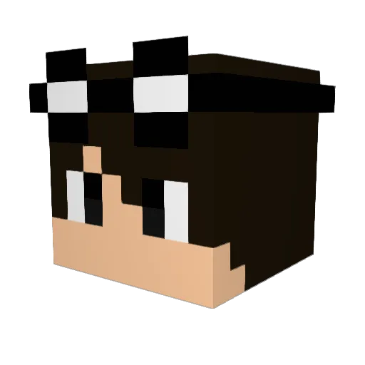 RCGamerBR Minecraft avatar head, 3D render