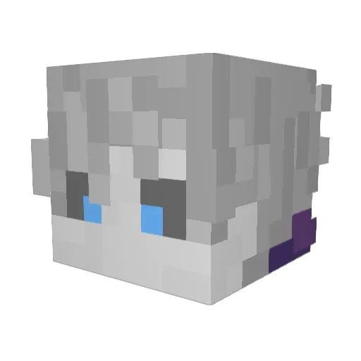 RCJ4 Minecraft avatar head, 3D render