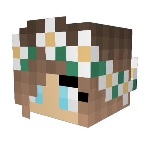 RCResiCE Minecraft avatar head, 3D render