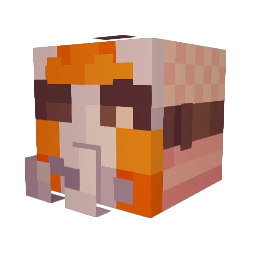 RCTNinja Minecraft avatar head, 3D render