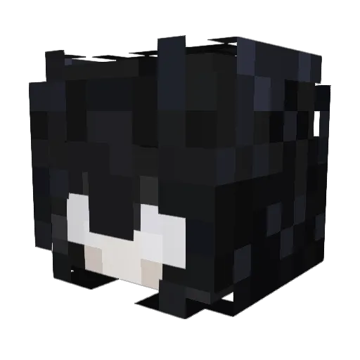 RCsennett Minecraft avatar head, 3D render