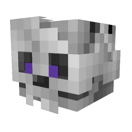 RDBC Minecraft avatar head, 3D render