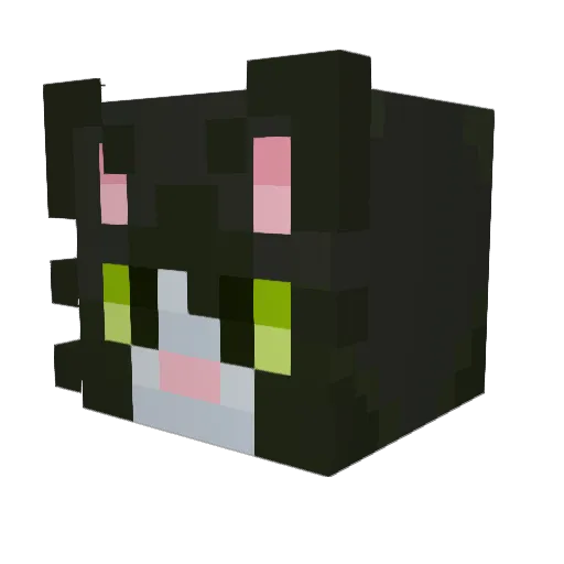 RDMBlockMaster Minecraft avatar head, 3D render