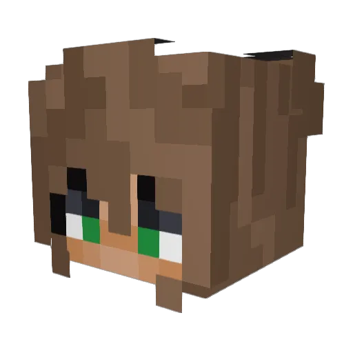 RDSL34 Minecraft avatar head, 3D render