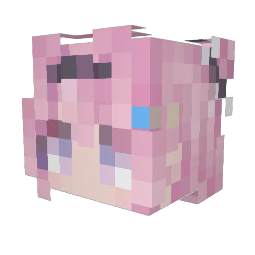 RDYCUTE Minecraft avatar head, 3D render