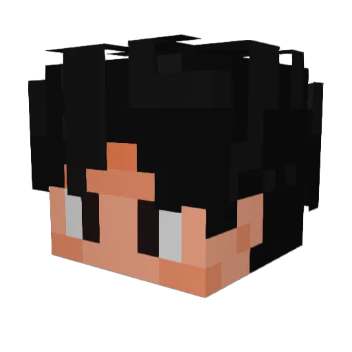 RD_Fox Minecraft avatar head, 3D render