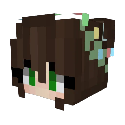 RDair Minecraft avatar head, 3D render