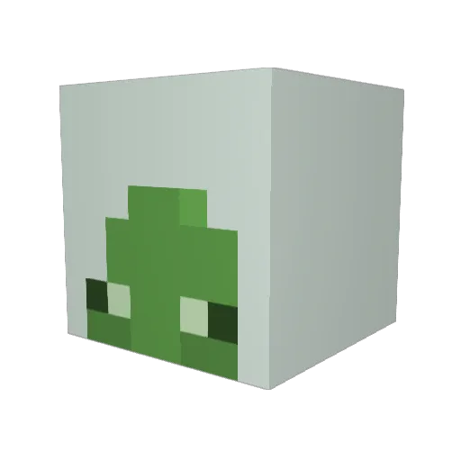 RDaisyD17 Minecraft avatar head, 3D render