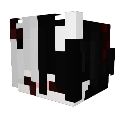 RDancerRenai Minecraft avatar head, 3D render