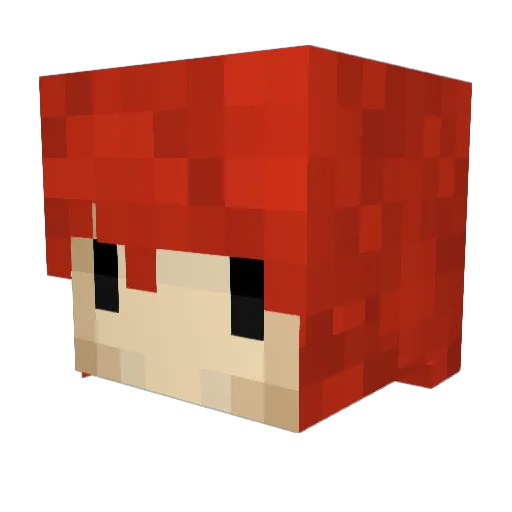 RDubs Minecraft avatar head, 3D render