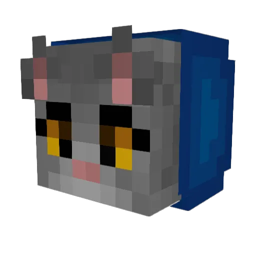 REALNotFound Minecraft avatar head, 3D render