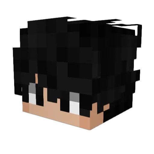 REAL_Feed Minecraft avatar head, 3D render