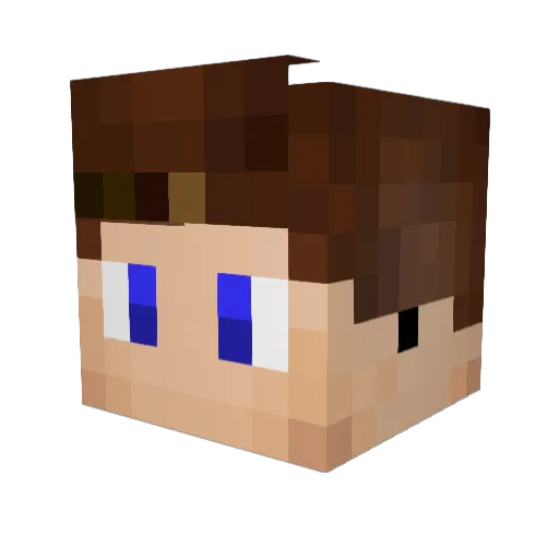 REAL_PUN Minecraft avatar head, 3D render