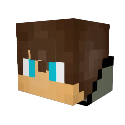 REAPERSoANARCHY Minecraft avatar head, 3D render