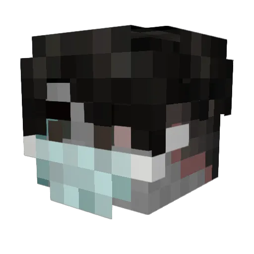 RECIPROCATED Minecraft avatar head, 3D render