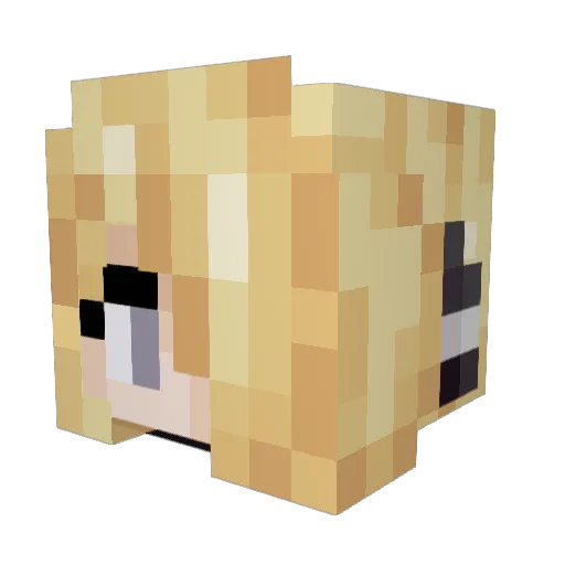 RECURER Minecraft avatar head, 3D render