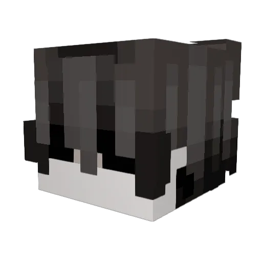 REDD_NASTY Minecraft avatar head, 3D render