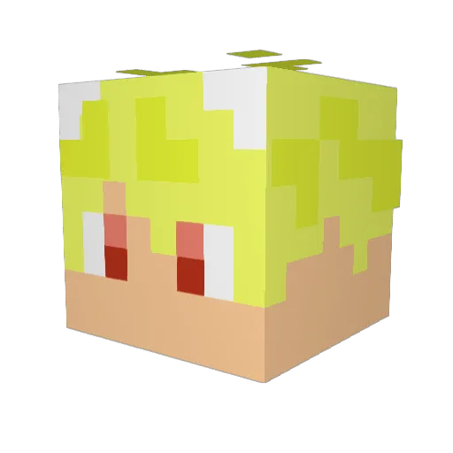 REDPANDATRAVEL Minecraft avatar head, 3D render
