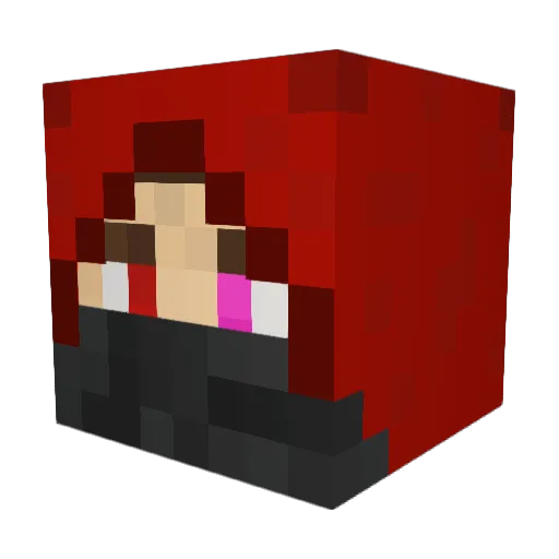 RED_Rogue999999 Minecraft avatar head, 3D render