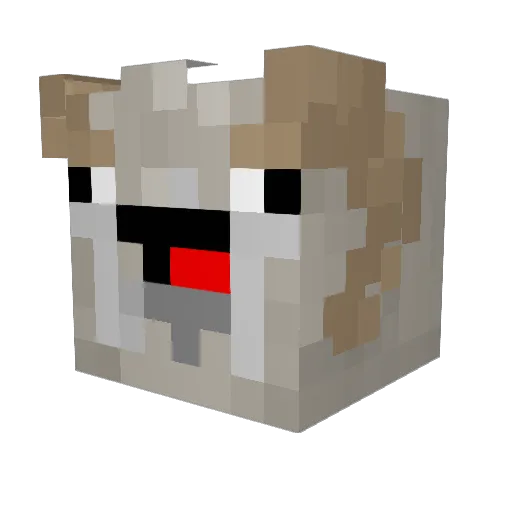 REDsteel50 Minecraft avatar head, 3D render